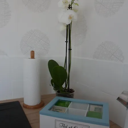 Appartement Le Cosy Strasbourgeois Tram A 2' Et Gare Ou Chu Hautepierre A 5' *